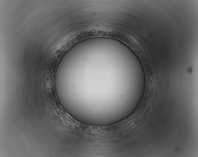 X0000116340774200912151327