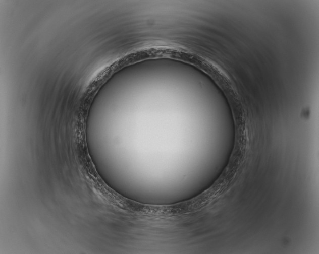 X0000116340775200912151327