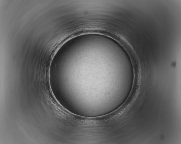 X0000116340777200912151327