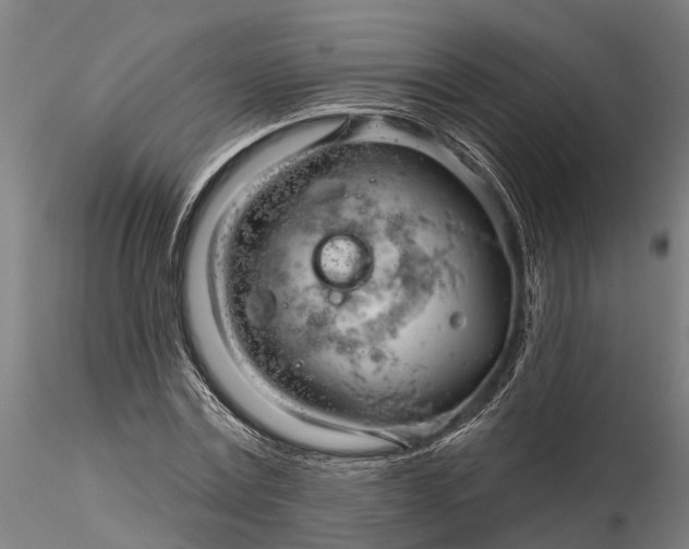 X0000116340779200912151327