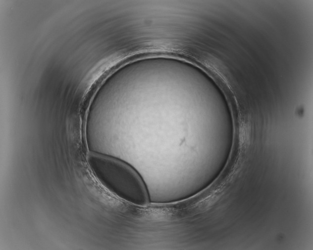 X0000116340781200912151327