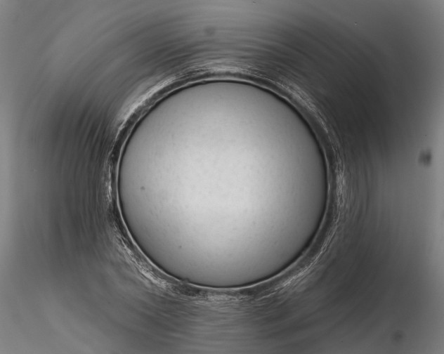 X0000116340782200912151327