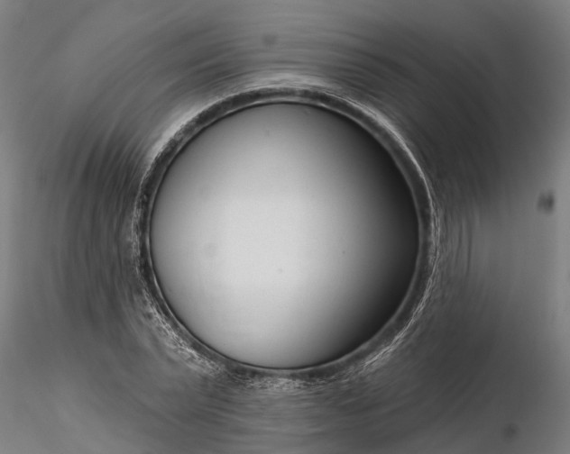 X0000116340783200912151327