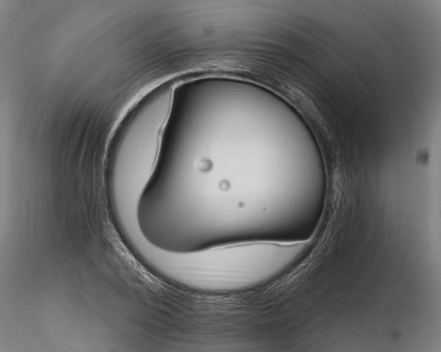 X0000116340784200912151327