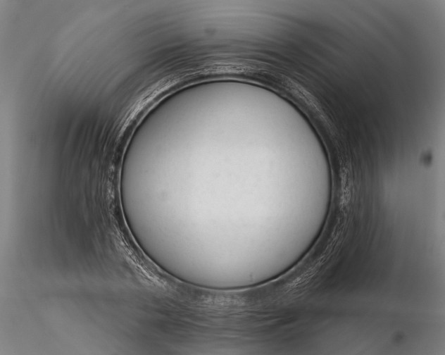 X0000116340786200912151327