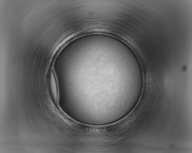 X0000116340790200912151327