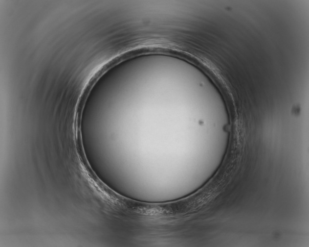 X0000116340791200912151327