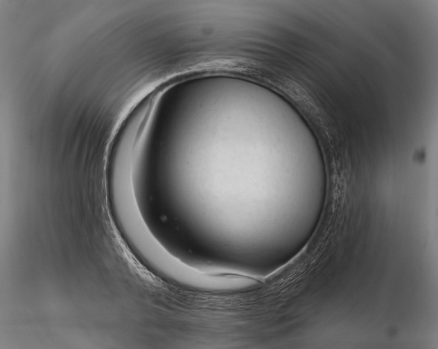 X0000116340792200912151327