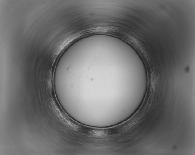 X0000116340794200912151327