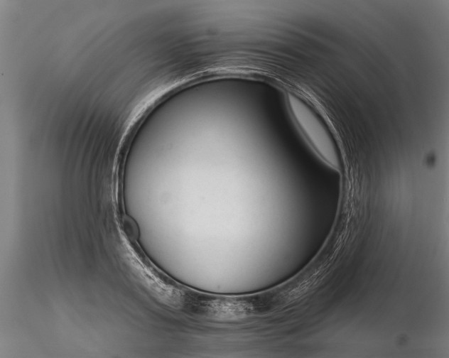 X0000116340795200912151327