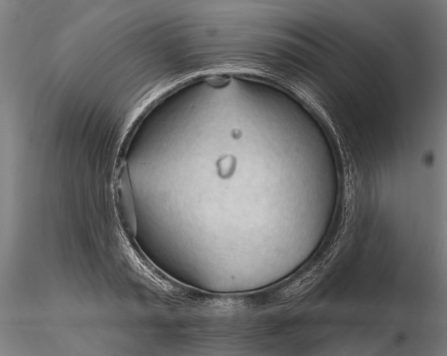 X0000116340797200912151327