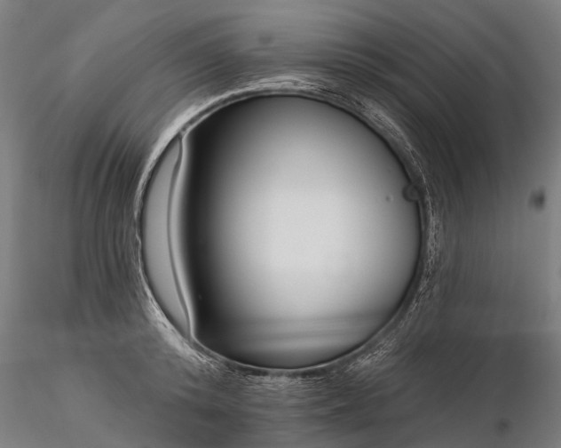 X0000116340800200912151327