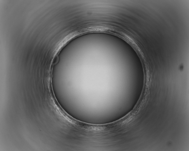 X0000116340802200912151327