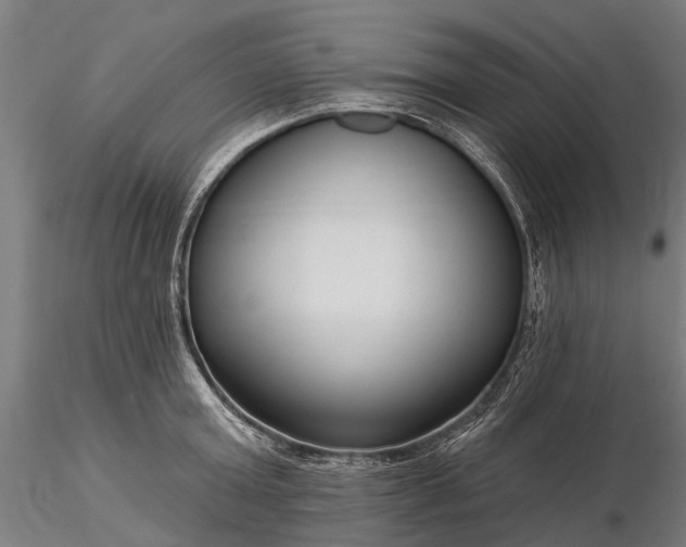 X0000116340803200912151327