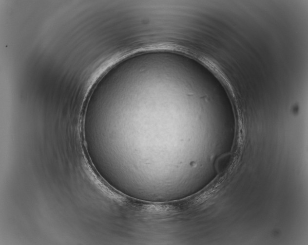 X0000116340805200912151327