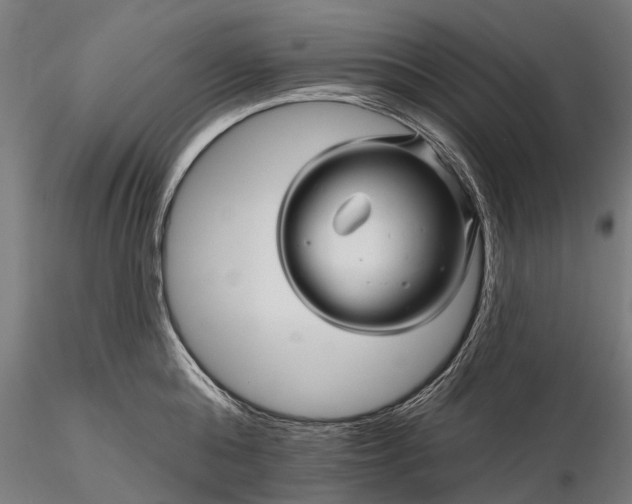 X0000116340808200912151327