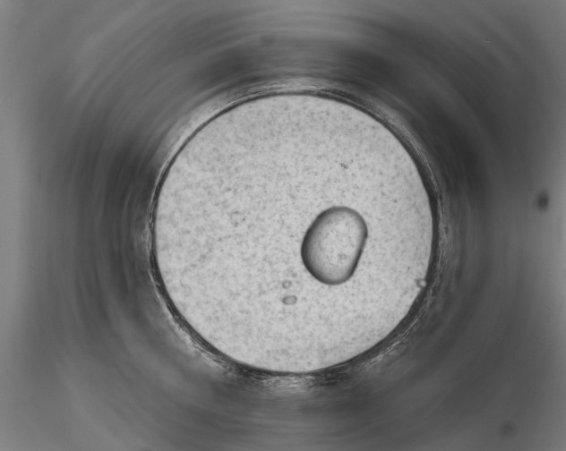 X0000116340810200912151327