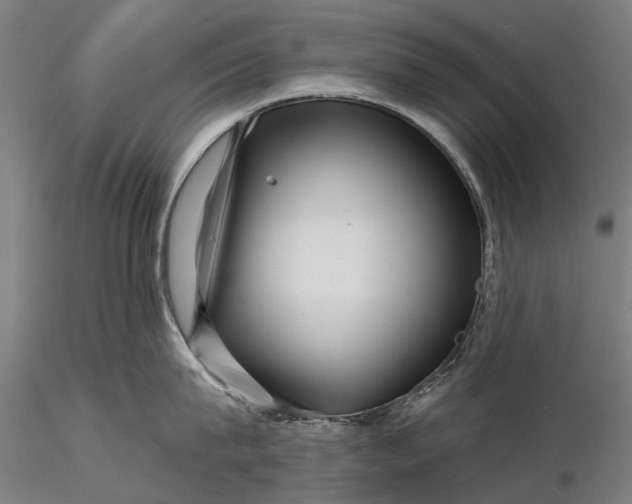 X0000116340815200912151327