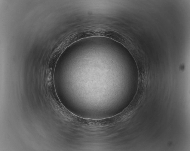 X0000116340818200912151326