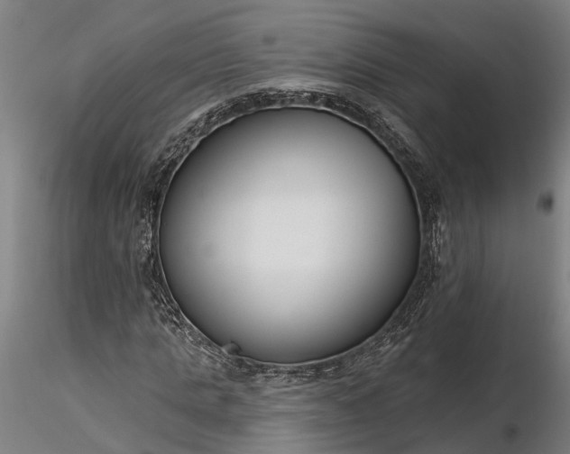 X0000116340821200912151326