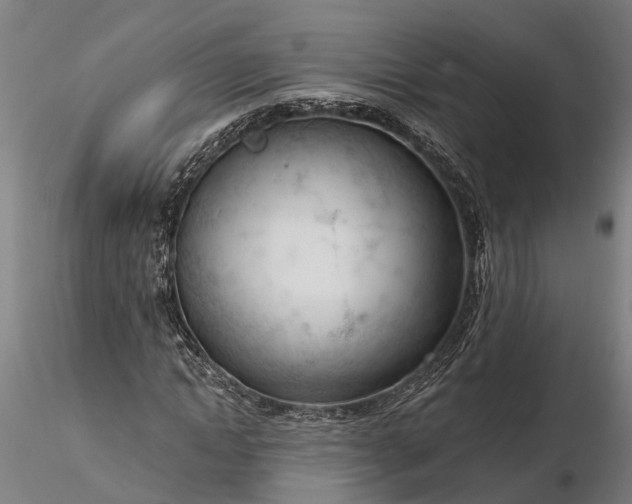 X0000116340822200912151326