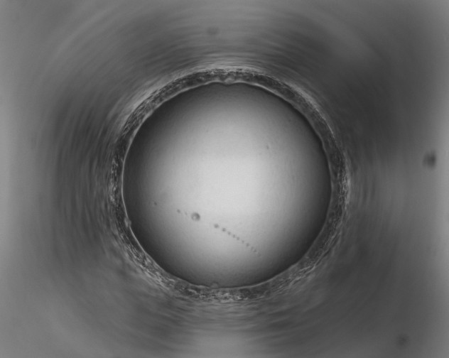 X0000116340823200912151326