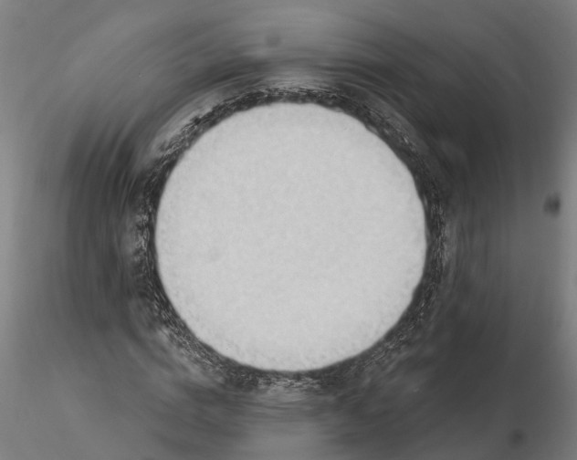 X0000116340824200912151326