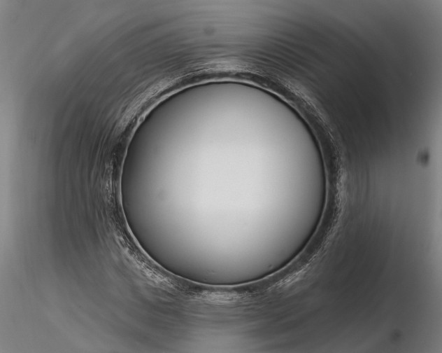 X0000116340825200912151326