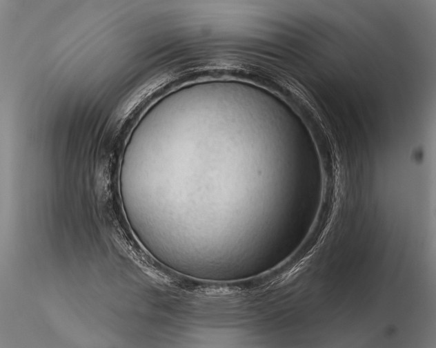 X0000116340826200912151326