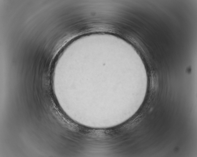 X0000116340828200912151326