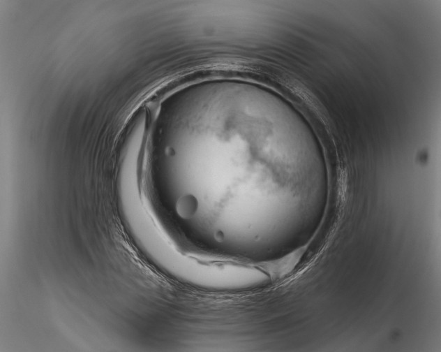 X0000116340829200912151326