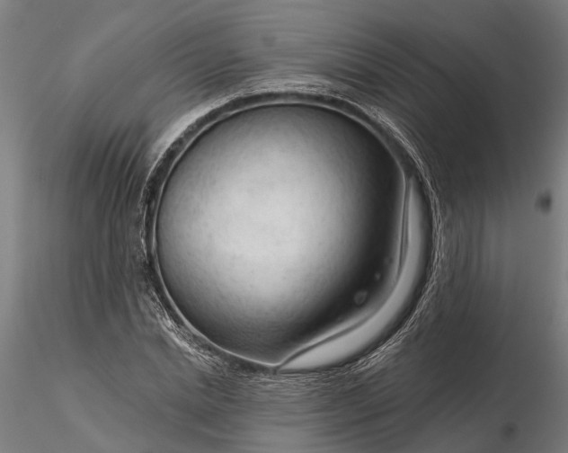 X0000116340830200912151326