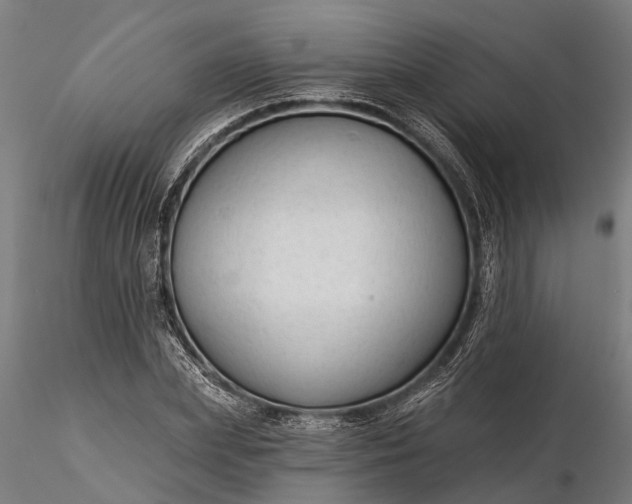 X0000116340831200912151326