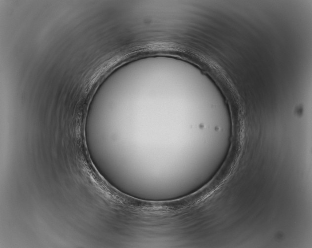 X0000116340833200912151326