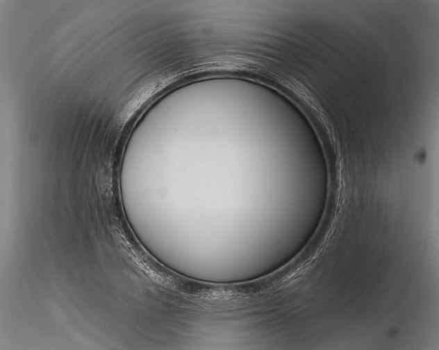 X0000116340834200912151326