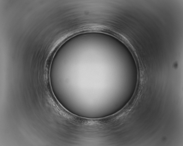 X0000116340835200912151326