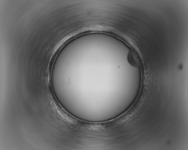 X0000116340837200912151326