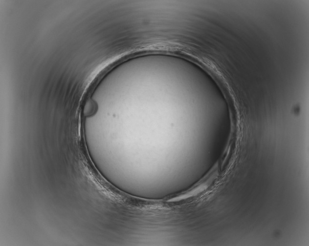 X0000116340838200912151326