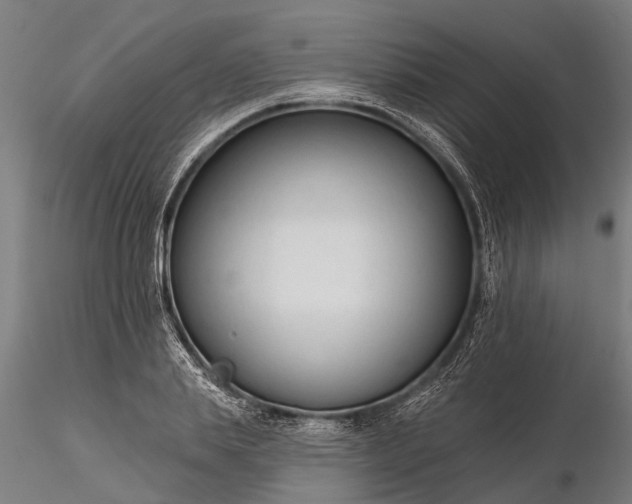 X0000116340839200912151326