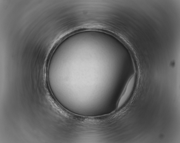 X0000116340840200912151326