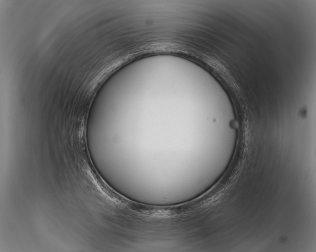 X0000116340841200912151326