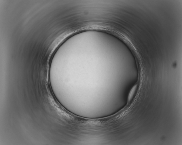 X0000116340844200912151326