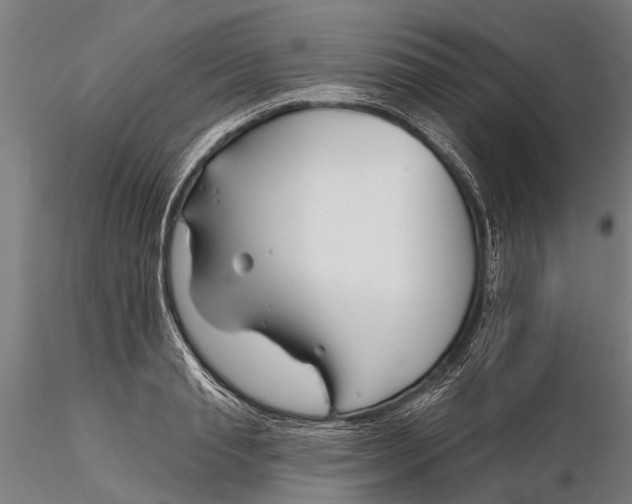 X0000116340845200912151326