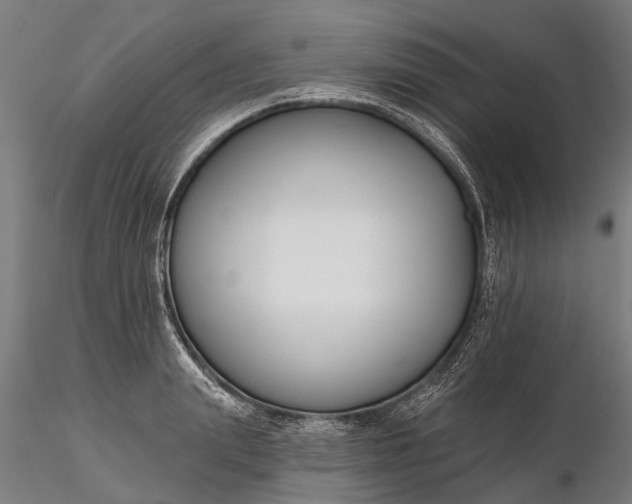 X0000116340847200912151326