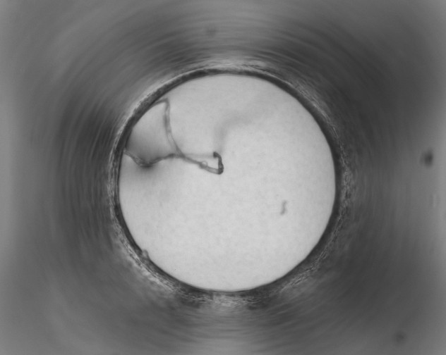 X0000116340848200912151326