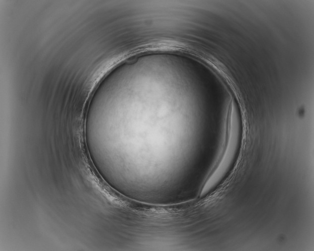 X0000116340850200912151326