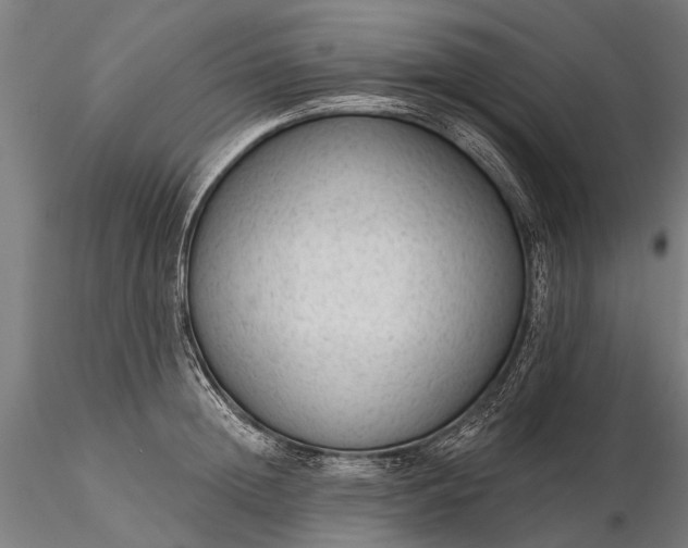 X0000116340852200912151326