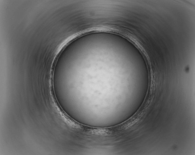 X0000116340853200912151326