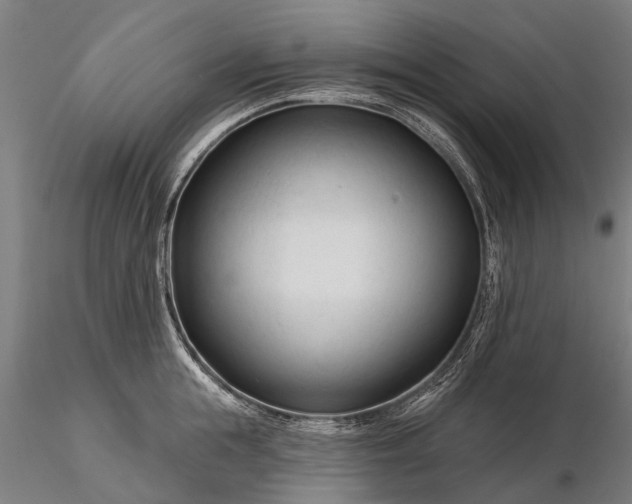 X0000116340855200912151326