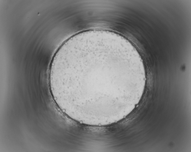 X0000116340856200912151326